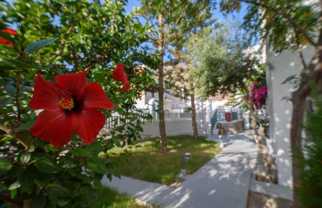 Iris Boutique Hotel-1